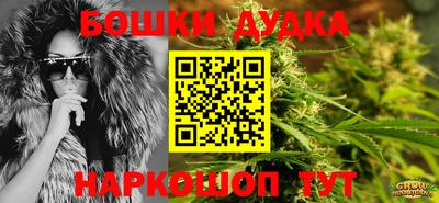 гидропоника Пыть-Ях