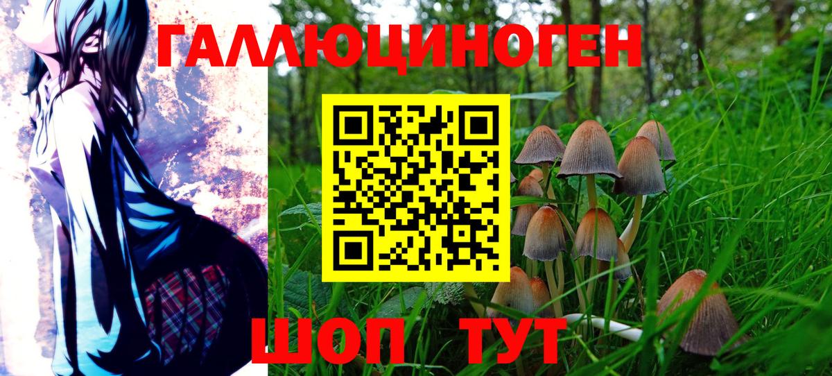 Трёхгорный  Галлюциногенные грибы Psilocybe  Псилоцибиновые грибы мухоморы  наркотики  Вход с VPN 